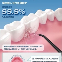 口腔洗浄器 ジェットウォッシャー 替えノズル4本付 充電式 230mLの画像