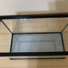 水槽の画像