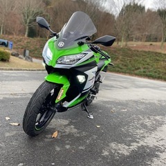 ninja250SE ABS   ex250l 30thモデル
の画像