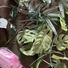 衣装ケース、収納ケース、食器　バケツの画像