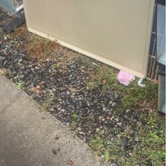 全品激安👍🩷ペットゲージの画像