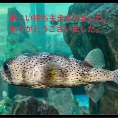 こどもチャレンジまとめ売りの画像
