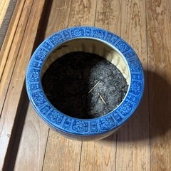 壺　の画像