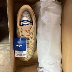 MIZUNO ME-03 エムイー ミズノエナジー 軽量 幅広【23.0㎝】の画像