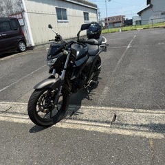 ヤマハ　fz250 2017の画像