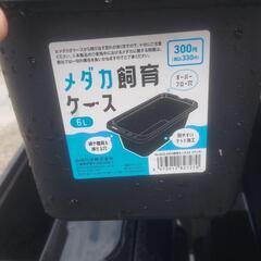 メダカ飼育ケース6L☆5個セット☆の画像