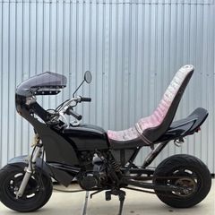 エイプ　人気車　50cc 高騰　バイク原付　熊本　福岡　佐賀　モンキーの画像