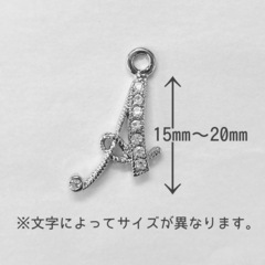 シルバー　ジルコニア付きイニシャルチャームの画像