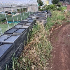 育苗箱　水稲用　400枚の画像