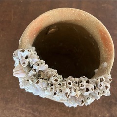 タコ壺の画像