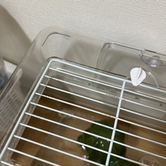 ハムスター 飼育セット ルーミィの画像