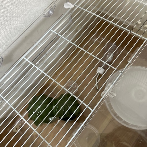 ハムスター 飼育セット ルーミィ