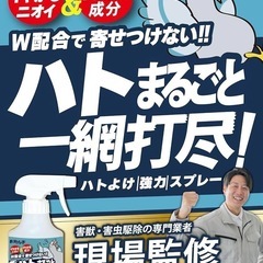 駆除名人 鳩よけ スプレータイプ 鳩用忌避剤 鳥よけ カラスよけ 天然香料 強力プロ仕様の画像