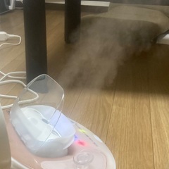 パナソニック　フェイススチーマー　ナノケアの画像