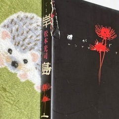 彼岸島　松本光司
の画像