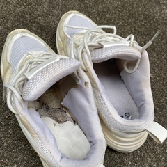 【無料】24cmくらいのスニーカー（2足）の画像