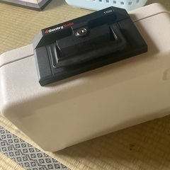 金庫　Sentry Safe 1100 キャッシュボックス 鍵付きの画像