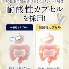 【新品】ビフィラル 酪酸菌プレミアム サプリ 60億個 30日分 乳酸菌 ビフィズス菌の画像