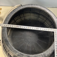 ポリビクの画像