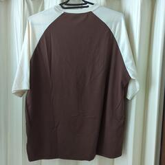 Tシャツの画像