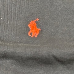 チビタグ POLO RALPH LAUREN ポロ 半袖Tシャツ XL ネイビー メンズの画像