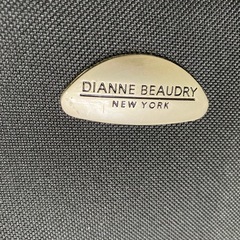 H 2508-201 DIANNE BEAUDRY キャリーケース 鍵付属 キズ 汚れありの画像