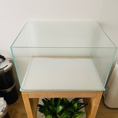 (20%OFF )ADA60センチ水槽の画像