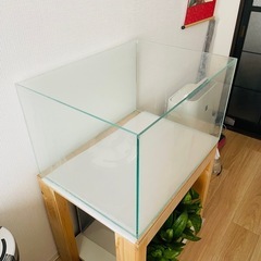 (20%OFF )ADA60センチ水槽の画像