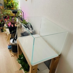 (20%OFF )ADA60センチ水槽の画像