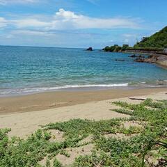 テナント募集 - 地元のお店