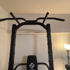 WASAI 　MK680 ぶら下がり健康器 懸垂マシン ＆ダンベル２個（10kg×２）の画像