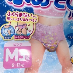 水遊びパンツ(オムツ) まとめて16枚
の画像