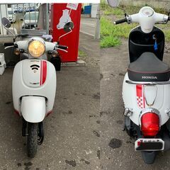 HONDA ホンダ ジョルノ AF70 原付 50cc スクーター 原チャ 中古車 札幌の画像