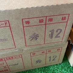 デラウェア　ぶどう　山形産　一箱12房　の画像