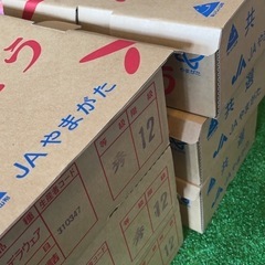 デラウェア　ぶどう　山形産　一箱12房　の画像