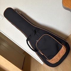 james アコースティックギター　j-1000Aの画像