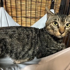 ちょっとビビりなイケメンくん