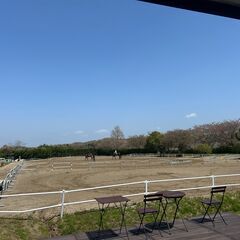 【神戸市西区にある乗馬クラブ】乗馬を始めたい方必見！運動と癒しを兼ね備えた優雅な趣味✨の画像