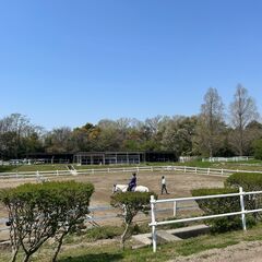 【神戸市西区にある乗馬クラブ】乗馬を始めたい方必見！運動と癒しを兼ね備えた優雅な趣味✨の画像