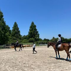 【神戸市西区にある乗馬クラブ】乗馬を始めたい方必見！運動と癒しを兼ね備えた優雅な趣味✨の画像