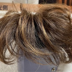 ウィッグ②の画像