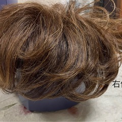 ウィッグ②の画像