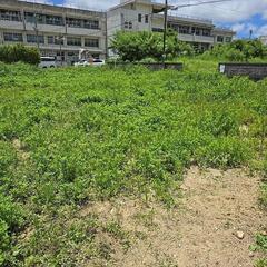 【整地依頼】子どもたちが遊べる場所にしたい