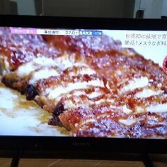 ソニー BRAVIA 22型の画像