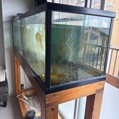 大型水槽160 60の画像