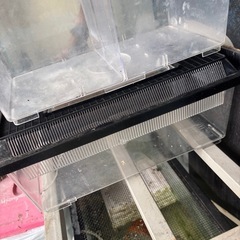 昆虫飼育引退、プラケ等の画像