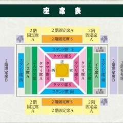 大相撲夏場所　立飛　8/28 チケット2枚の画像