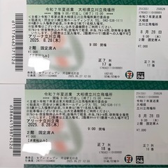 大相撲夏場所　立飛　8/28 チケット2枚の画像