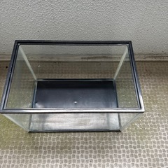 水槽プレゼント②の画像