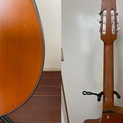 アリアプロのエレガット 型番不明の画像